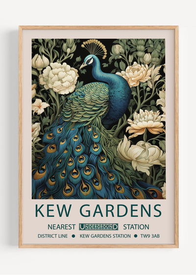 Kew Gardens Peacock I32-14 Art Print Peardrop Prints