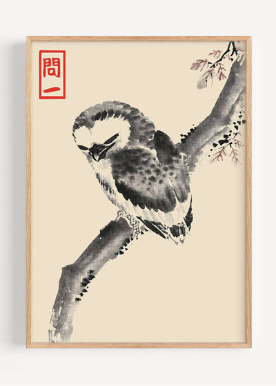 Sumi-e Owl Art Print by Matsumoto Hoji – Japanese Ink Painting I135-83 Art Print Peardrop Prints